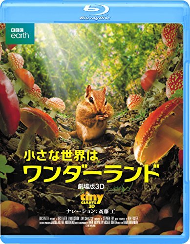 小さな世界はワンダーランド – こども映画プラス